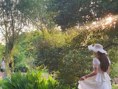 -艾溪湖湿地公园