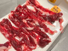 -潮发潮汕牛肉店(东方宝泰店)