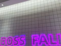 -老板恋上鱼(印象城店)
