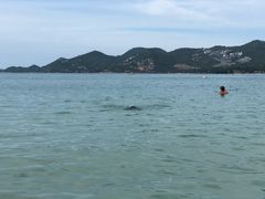 -查汶海滩