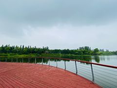 -东郊湿地公园