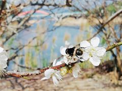 -广州市流溪河国家森林公园