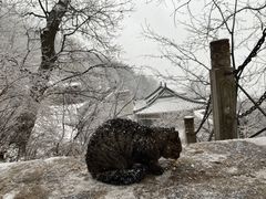 -终南山南五台景区