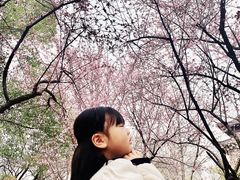 -堤角公园