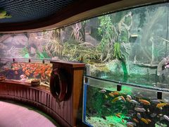 -太平洋海底世界