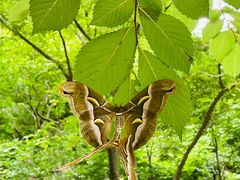 -湖洞水自然风景区