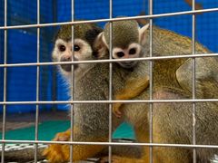 -水上乐园·欢乐世界