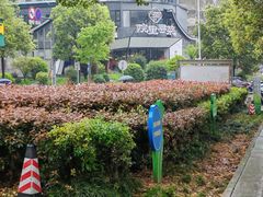 -院里寻菜·精致庭院菜(观沙岭店)