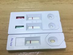 -瑞鹏宠物医院·宠保定点·心脏科·内科(御桥分院)