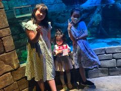 -沈阳海洋探索中心