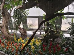 -北京植物园-展览温室