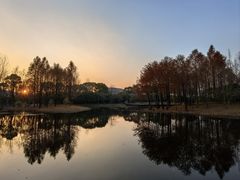 -长广溪湿地公园