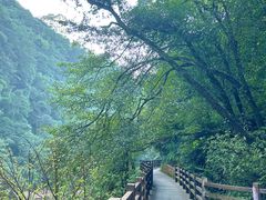 -马岭河峡谷风景区