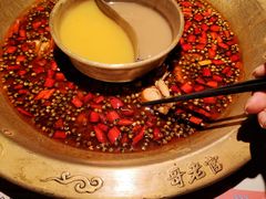-哥老官重庆美蛙鱼头(五角场合生汇店)