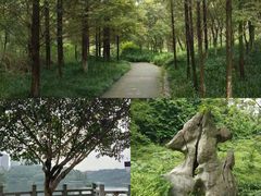 -重庆彩云湖湿地公园