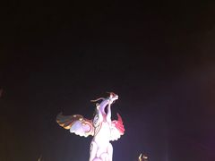 -中国马镇舞马世界主题乐园
