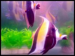 -多彩贵州城极地海洋世界