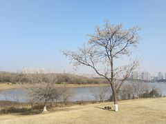 -盘龙城国家考古遗址公园