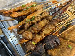 红柳羊肉串-小四川特色烤鱼(新城总店)