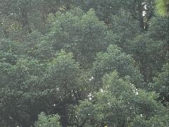 -汇龙潭