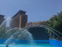 -亚马逊丛林水乐园