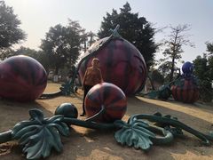 -琅岐红光湖公园
