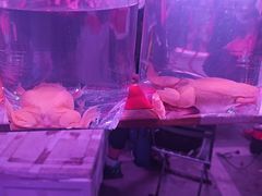 -华声天桥民俗文化园