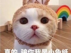 -泰康拜博口腔医院(江北总院)