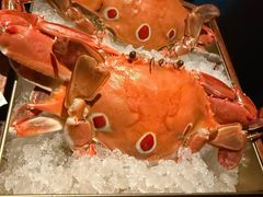 -Mr.Fish鱼鲜生海鲜放题(高德置地冬广场店)