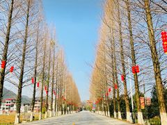 -龙脊梯田