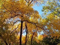 -元大都城垣遗址公园