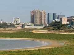 -立新湖公园