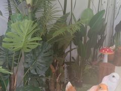 -巴黎春天(浦建店)
