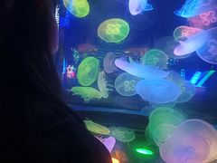 -太平洋海底世界