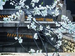 -三里河公园