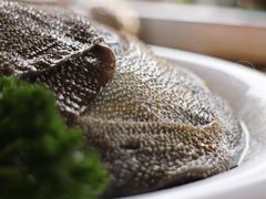 清油毛肚-二荆条·蜀鲜汇城市森林火锅