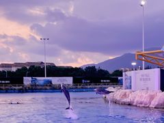 -三亚海昌梦幻海洋不夜城