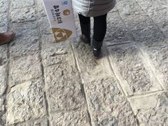 -嘉华鲜花饼(束河店)