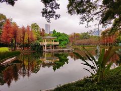 -晓港公园