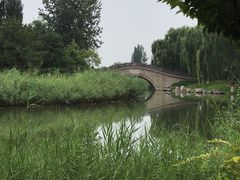 -大兴滨河森林公园