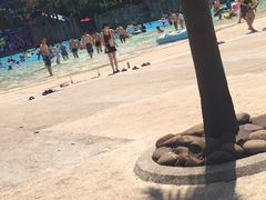 -重庆海昌加勒比海水世界