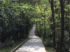 -冶父山国家森林公园