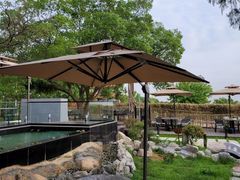 -蘇河湾·新鲁菜·泰山宴(泰山店)