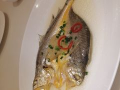 -半岛太子酒家(海港城店)