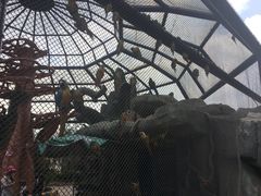 -灵玲国际马戏城