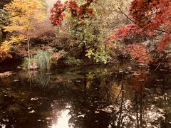 -西湖外事游船(花港观鱼码头)