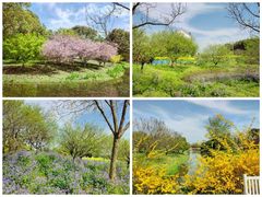 -花开海上生态园