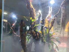 -泰悠谷养生SPA(世茂商业街店)