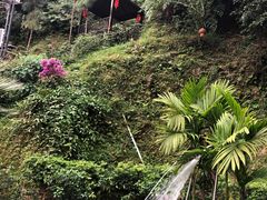 -广东天露山旅游度假区
