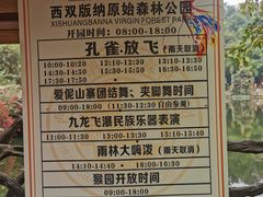 -西双版纳原始森林公园